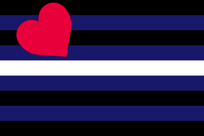 The leather pride flag, which has become a symbol of BDSM and fetish subcultures.